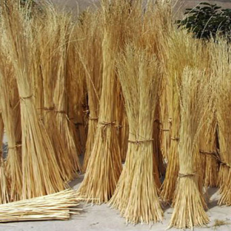 Sedia arpa con sedile in paglia rustica dettaglio legno