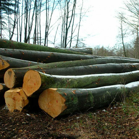 Sedia profili con fondino in stoffa