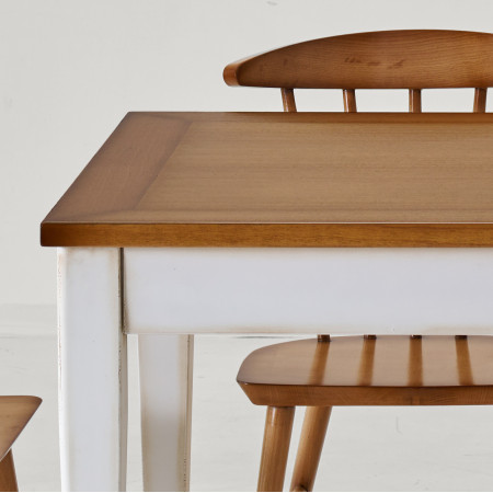 Dettaglio piano Tavolo rettangolare 120x85 allungabile