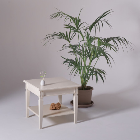 Tavolino da salotto quadrato in legno con pianta decorativa