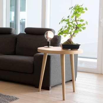 Tavolino rotondo rovere con pianta bonsai, ambientato