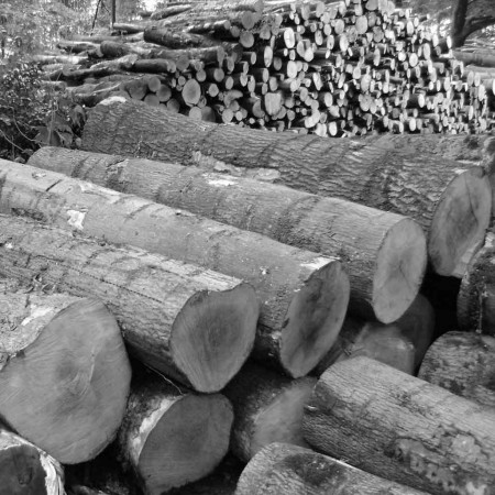 Tavolo intarsiato stella allungabile, dettaglio del legno