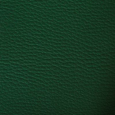 ecopelle suez 819 verde