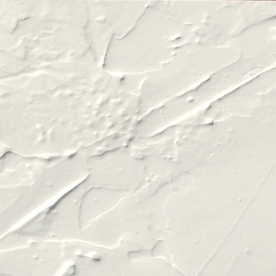 Frontali bianco lucido su base spatolata